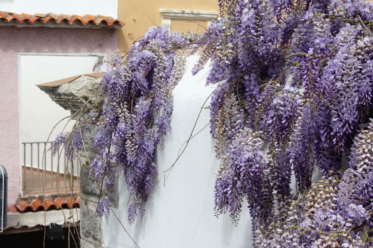 Casa Gandamar B&B Santa Teresa Gallura Dış mekan fotoğraf
