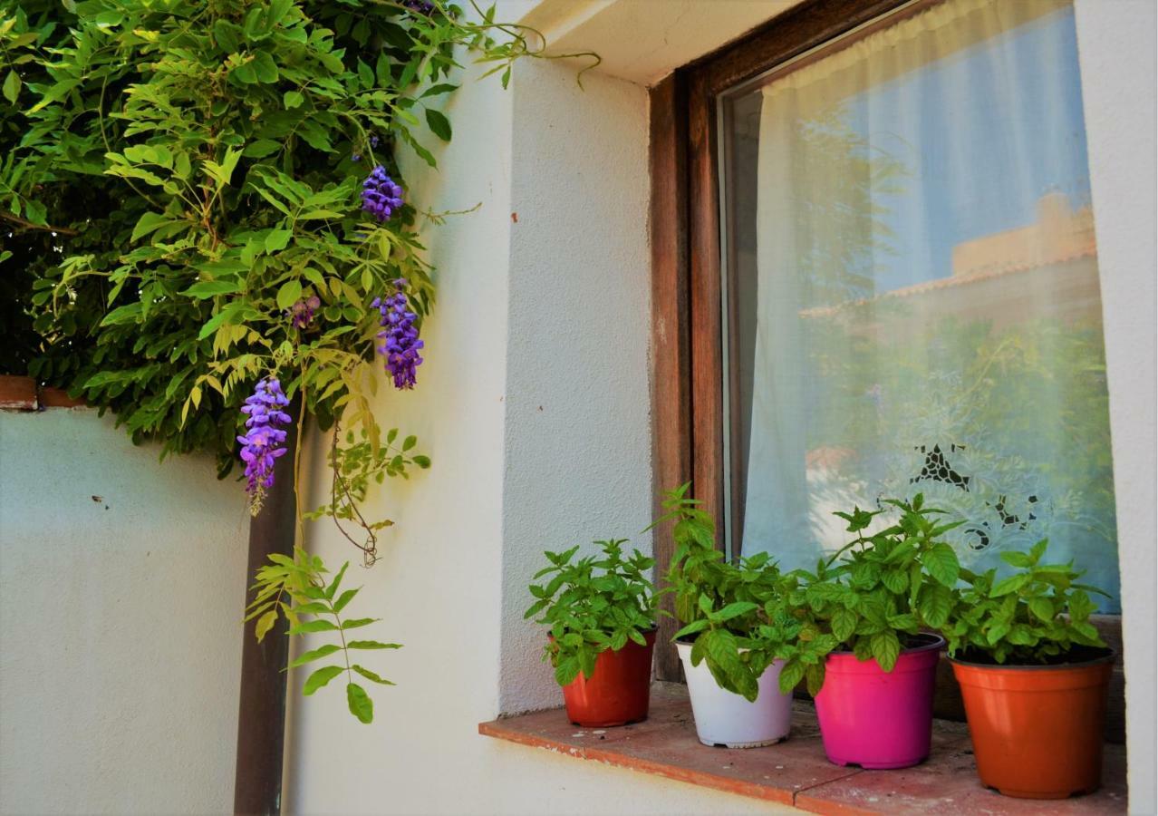 Casa Gandamar B&B Santa Teresa Gallura Dış mekan fotoğraf