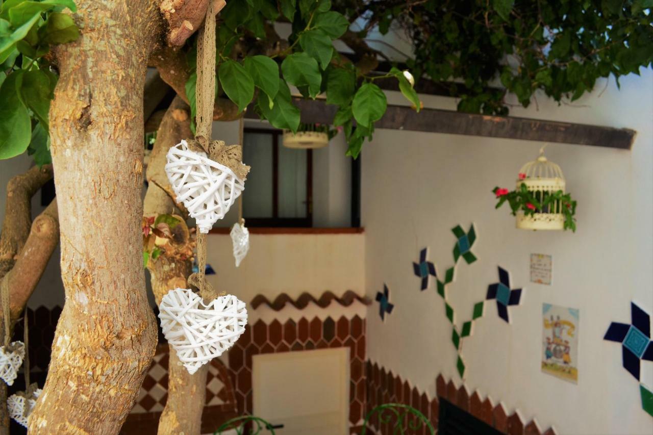 Casa Gandamar B&B Santa Teresa Gallura Dış mekan fotoğraf