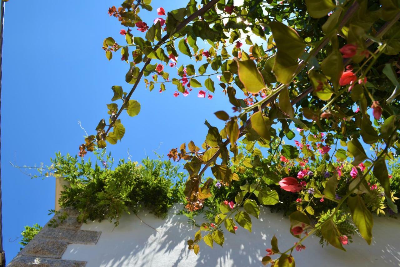 Casa Gandamar B&B Santa Teresa Gallura Dış mekan fotoğraf