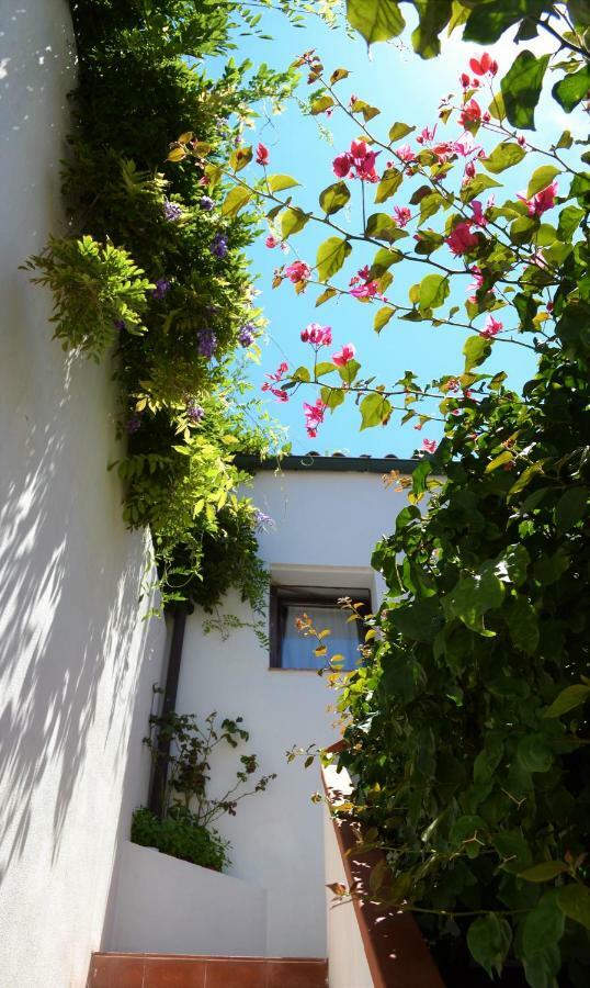 Casa Gandamar B&B Santa Teresa Gallura Dış mekan fotoğraf