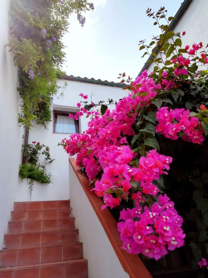 Casa Gandamar B&B Santa Teresa Gallura Dış mekan fotoğraf